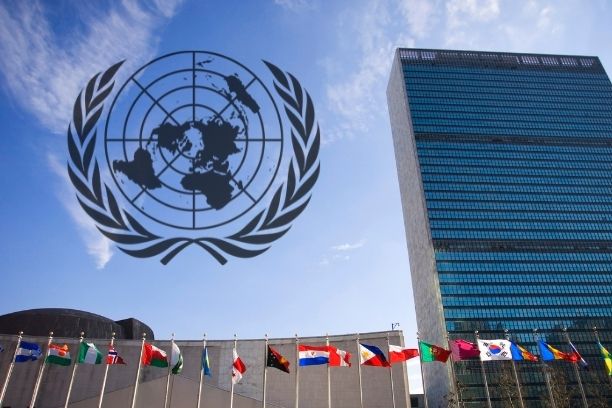 UN Agenda 21 and UN 2030 - WIKIACTIVISM